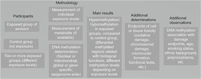 Toxicomethylomics revisited: A state-of-the-science review about DNA methylation modifications in blood cells from workers exposed to toxic agents